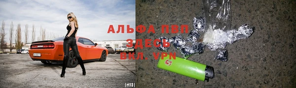 сатива Алексин
