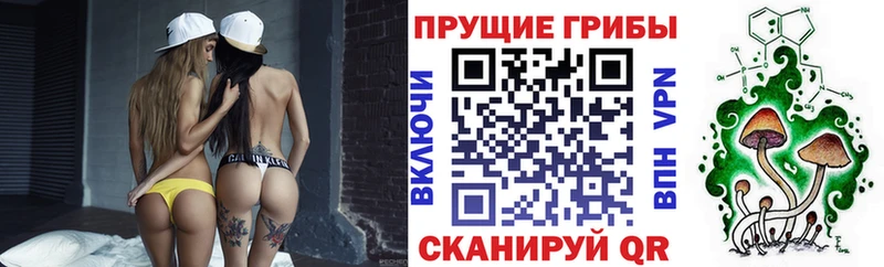 купить закладку  Снежногорск  Галлюциногенные грибы ЛСД 